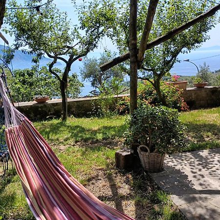 Amalfi Coast, Positano, Sorrento, Capri, Garden, Villa Carcara Colli di Fontanelle Eksteriør billede