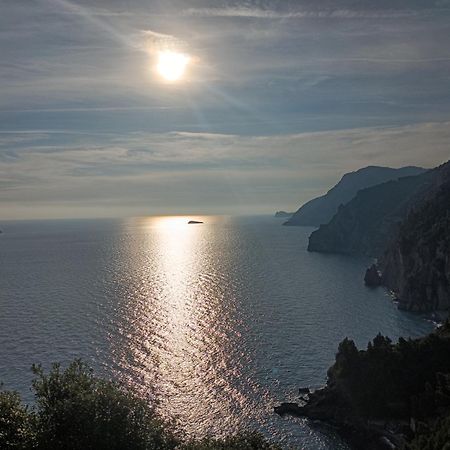Amalfi Coast, Positano, Sorrento, Capri, Garden, Villa Carcara Colli di Fontanelle Eksteriør billede