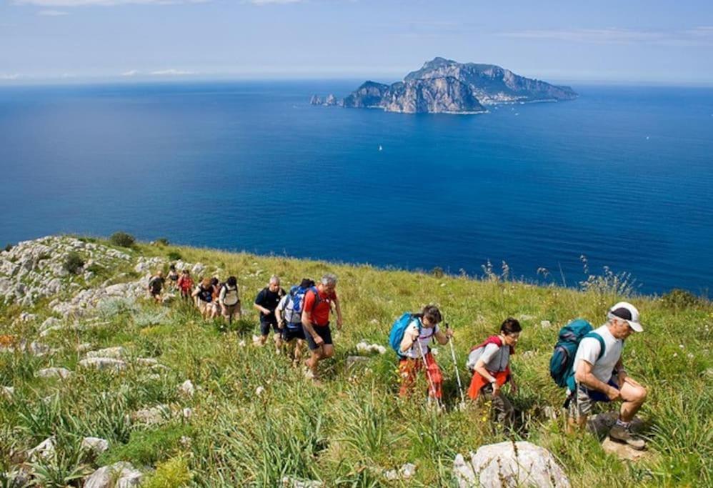 Amalfi Coast, Positano, Sorrento, Capri, Garden, Villa Carcara Colli di Fontanelle Eksteriør billede