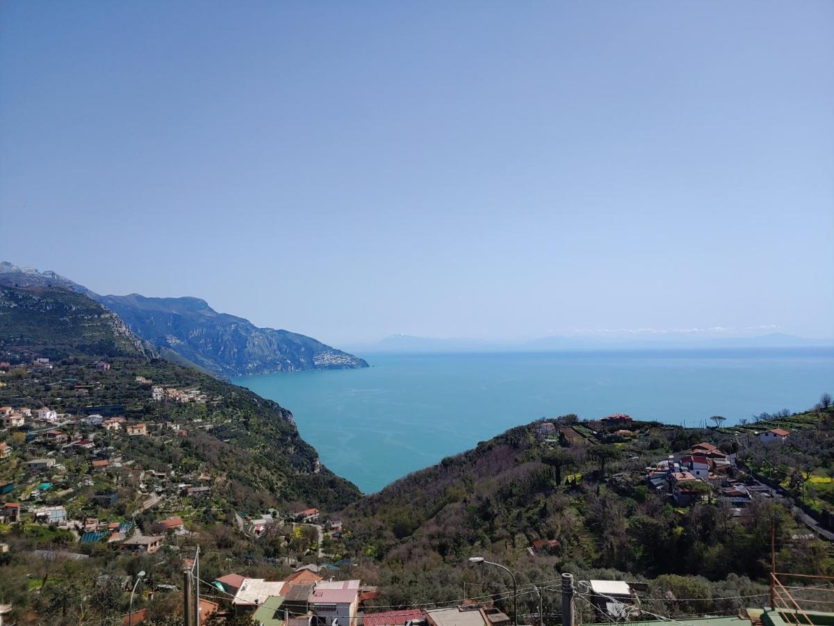 Amalfi Coast, Positano, Sorrento, Capri, Garden, Villa Carcara Colli di Fontanelle Eksteriør billede