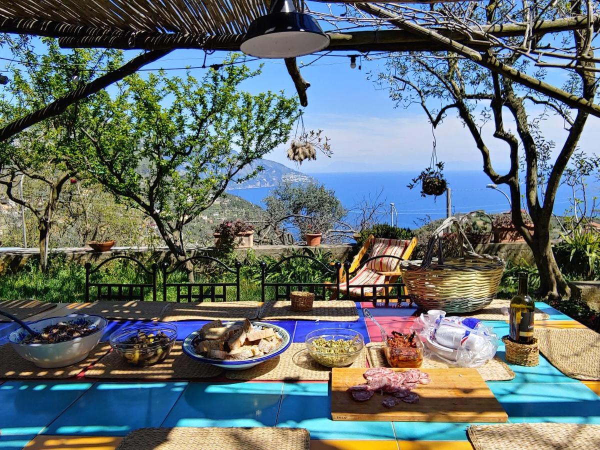 Amalfi Coast, Positano, Sorrento, Capri, Garden, Villa Carcara Colli di Fontanelle Eksteriør billede