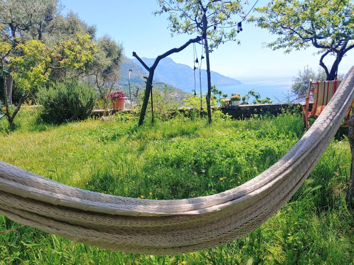 Amalfi Coast, Positano, Sorrento, Capri, Garden, Villa Carcara Colli di Fontanelle Eksteriør billede
