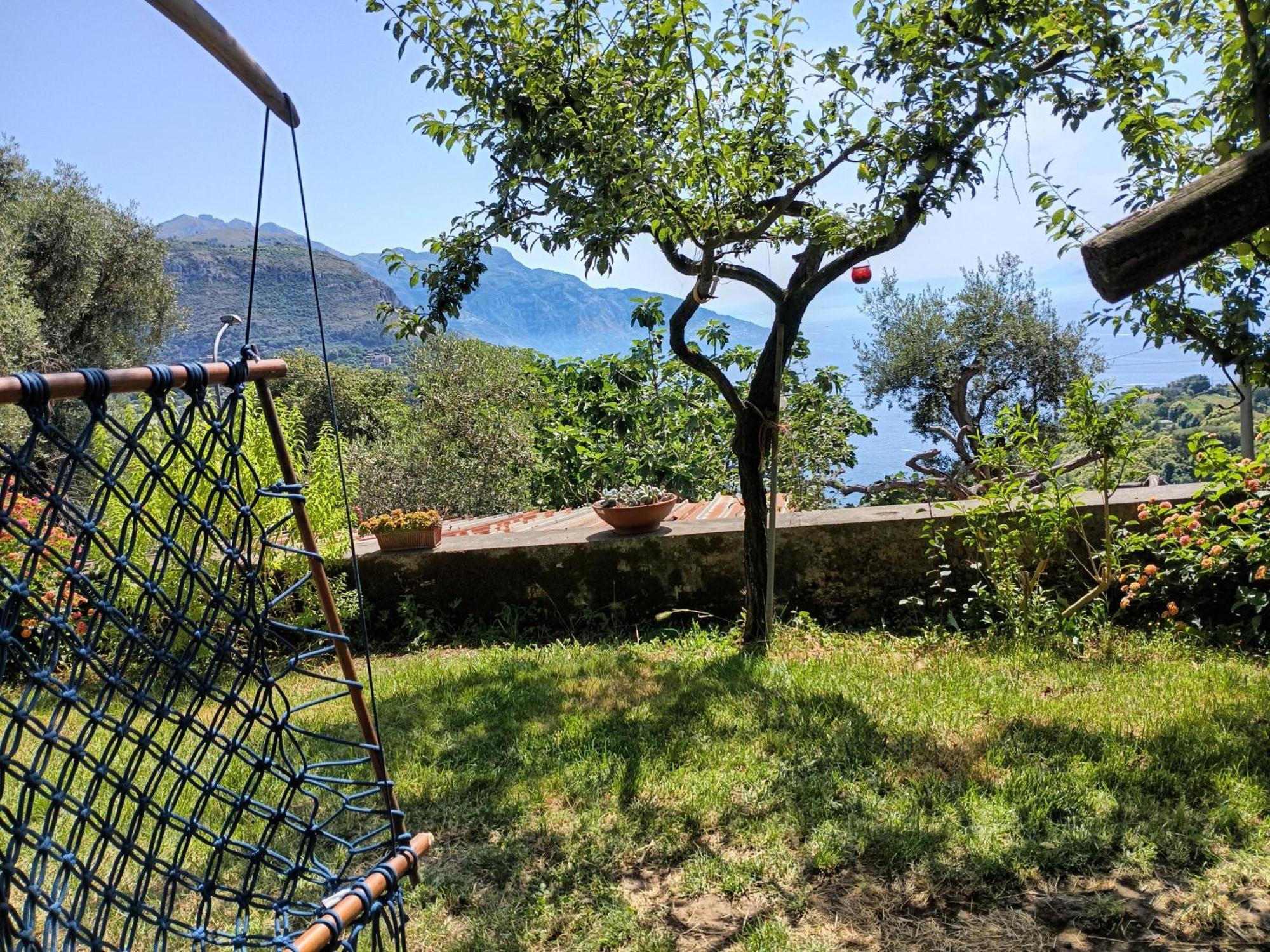 Amalfi Coast, Positano, Sorrento, Capri, Garden, Villa Carcara Colli di Fontanelle Eksteriør billede